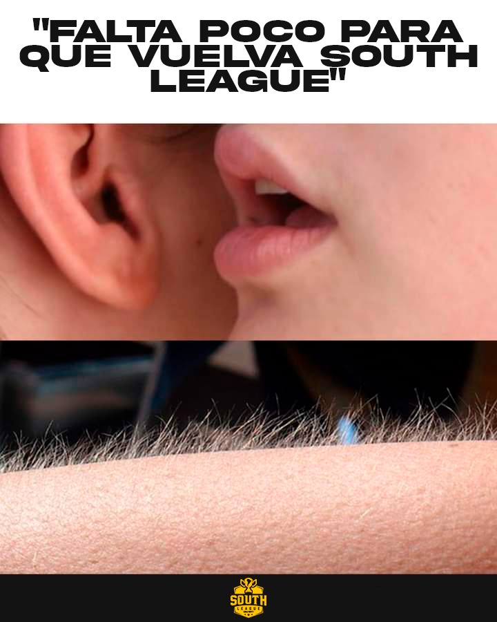 SouthCodLeague's tweet image. El CM cada vez que le dicen que falta menos⏳

Preparados? 👀