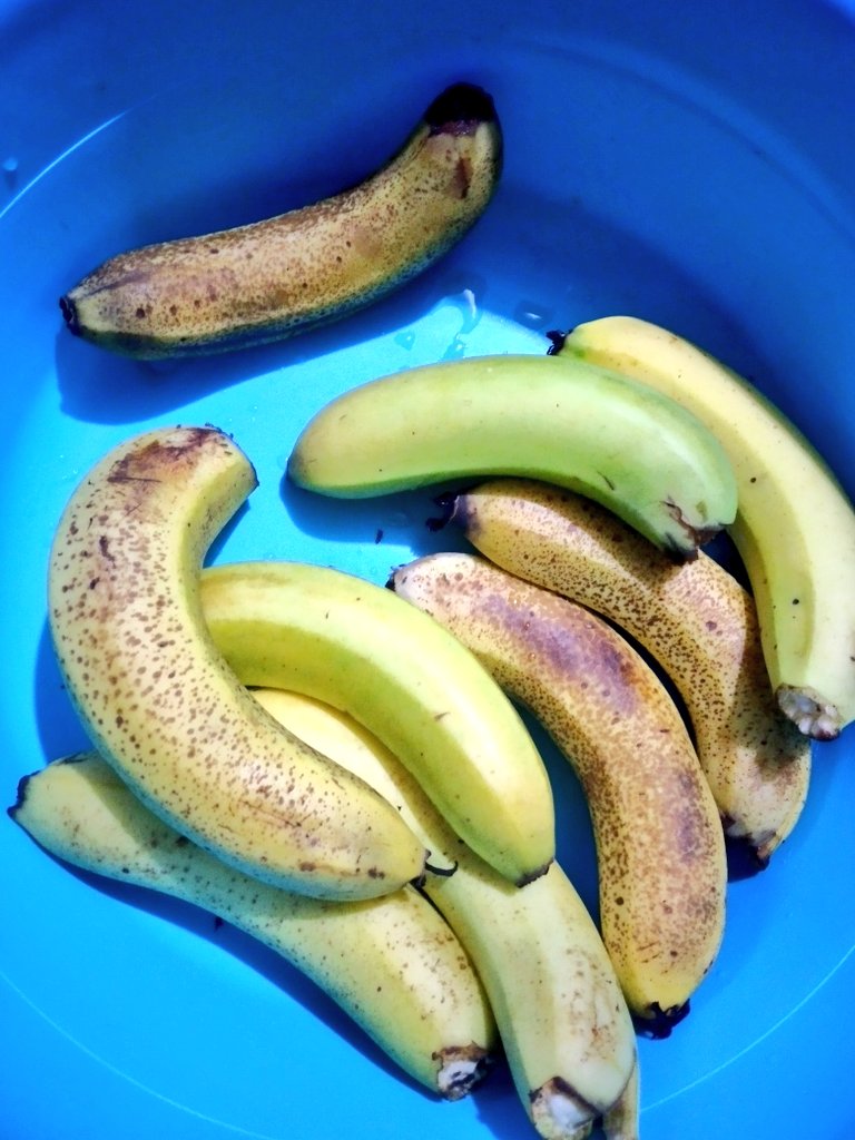 mvilsoni_fj's tweet photo. hubs sends me these photos while I make my way to work & said he'll make a Rotuman dessert for dinner #TiPar yay my ma'piga must be smiling from the heavenly realm! Our #COVID project #kanamainawere #farmgoals #familygoal 👌 & Eunice's fresh banana smoothie for breakfast! https://t.co/P3BZYCcNyn