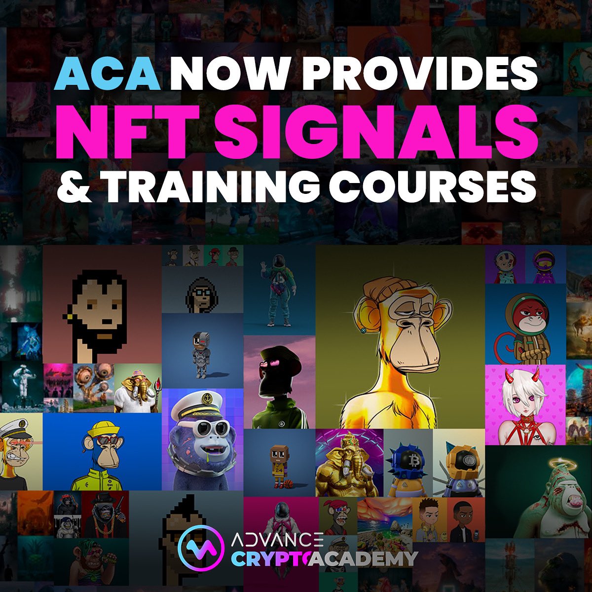 Starting this week all <a href="/AdvanceCrypto/">AdvanceCryptoAcademy</a> members will be receiving NFT signals. NFT video courses &amp; webinars will be available for members this week. 

February 8th 10am EST - 1st NFT webinar for all paid members. 

#NFT #Metaverse $ACA