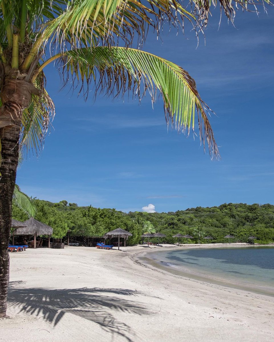 mo_canouan's tweet photo. Fancy a casual beachside lunch? Head over to Shell Beach for some comfort fare with a distinct Caribbean flare. Sink your toes into the smooth, powdery sand while youβre at it too. #MandarinOrientalCanouan #ImAFan #foodietravel #caribbeanfood #waterfrontbar https://t.co/83WtDlroA0