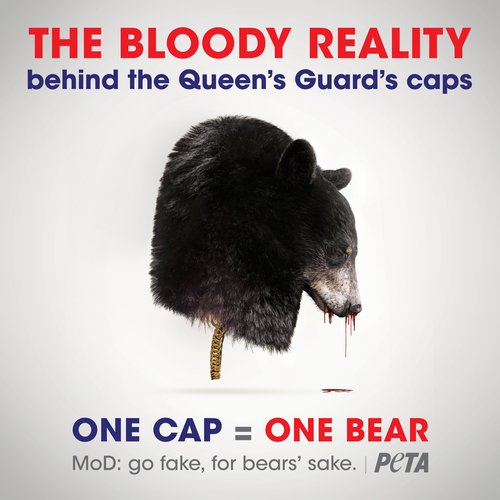 veganstorytell's tweet photo. If you are a resident of the UK, sign the petition to replace the real bearskins used for the Queen’s Guard’s caps with faux fur. https://t.co/nnlaIZSTd8 https://t.co/FxxmPyb7w9