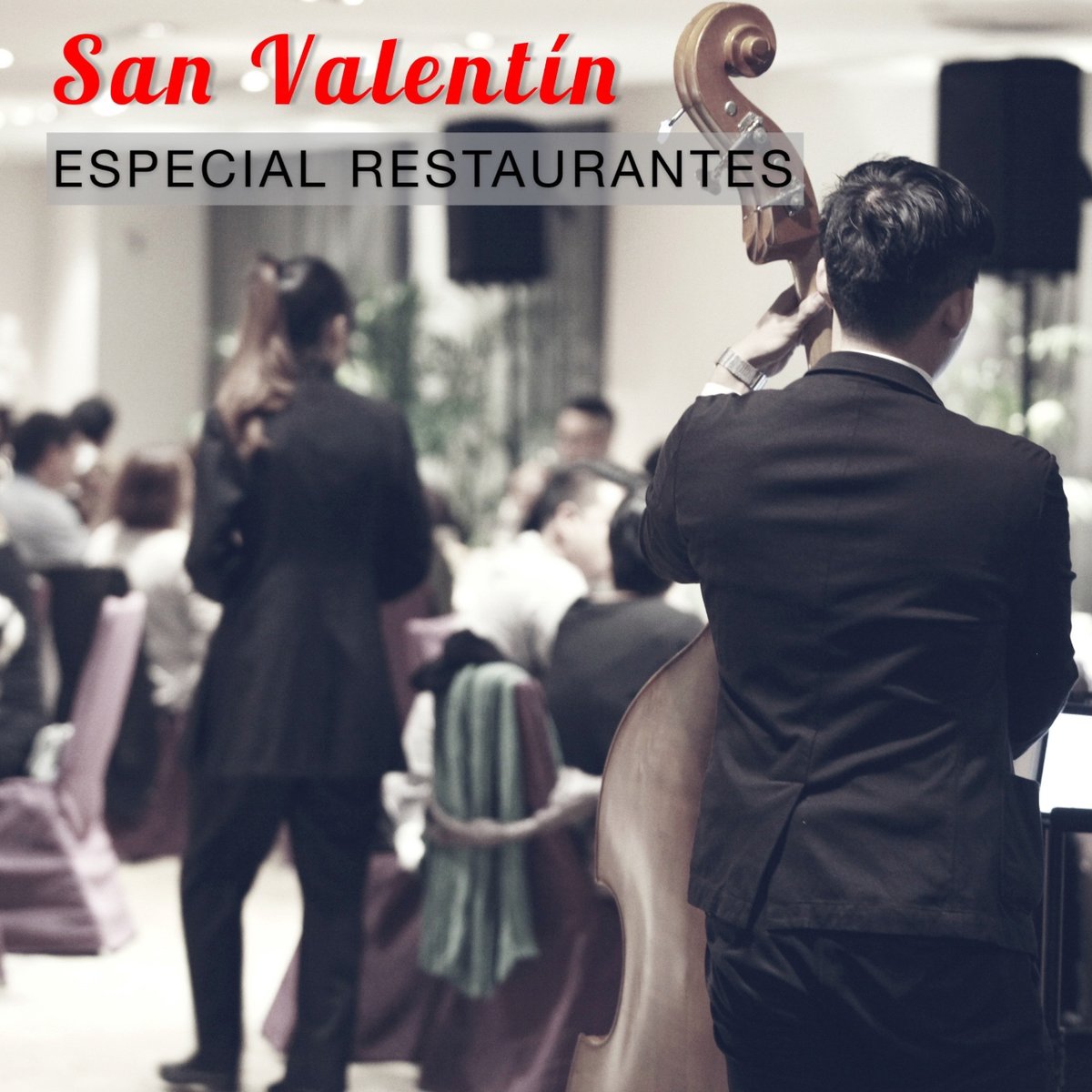 QUIERES MÚSICA EN DIRECTO PARA TU RESTAURANTE? En un día tan especial como San Valentín no puede faltar la emoción de la música en directo y nuestra gran selección de temas románticos!
.
#restaurantessevilla #restaurantescadiz #restauranteshuelva #musicaendirecto