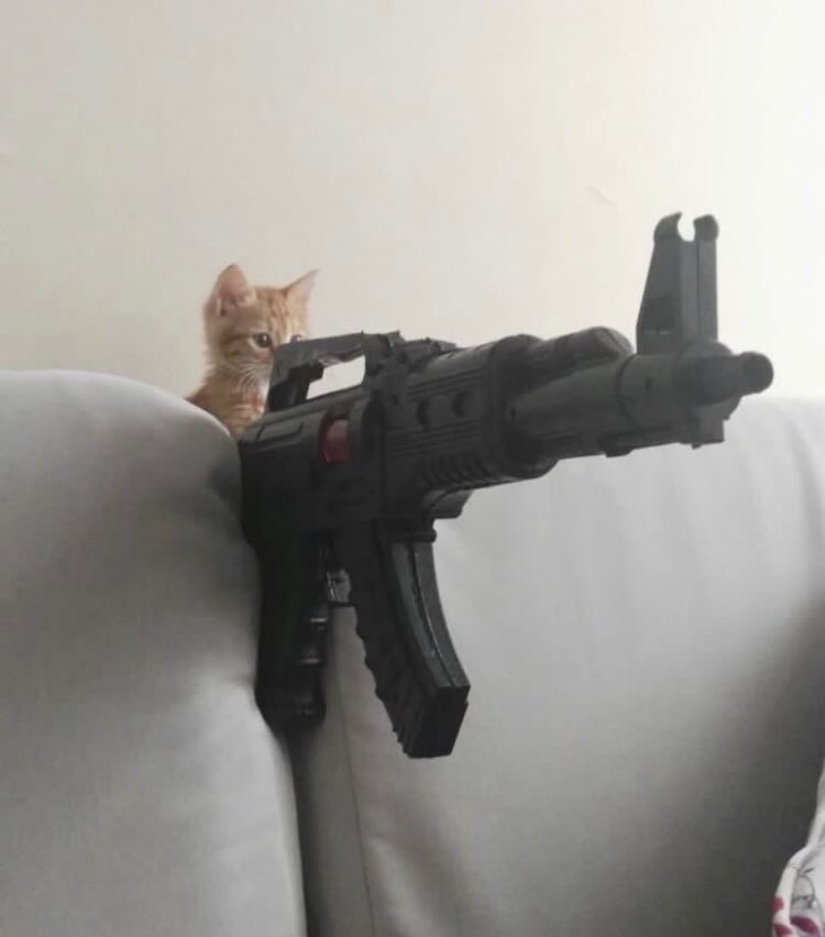 OFVlOLETEYES's tweet photo. @GoatDadd @RoseLaPlusNoire // going in for the kill https://t.co/cpP9nHVY7D