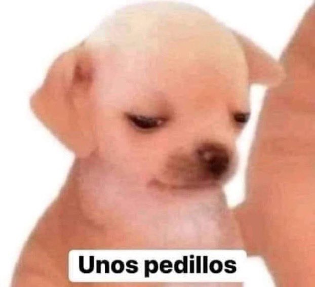 Ad4uMX's tweet photo. -Oye y el grupo por que no se ha presentado en ningún evento?
- https://t.co/gQknfeRUoe