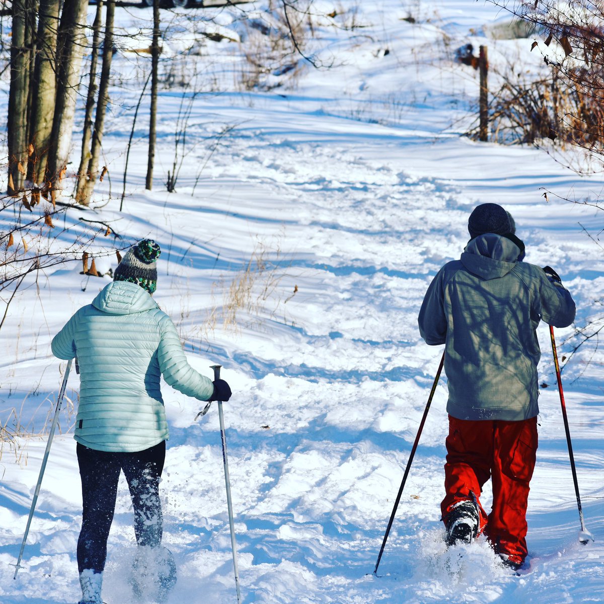 Last one to the tasting room picks up the tab!! 

Take a moment and check out our newly redone website and plan your trip up to the Midwest’s #1 wine region!

lpwines.com