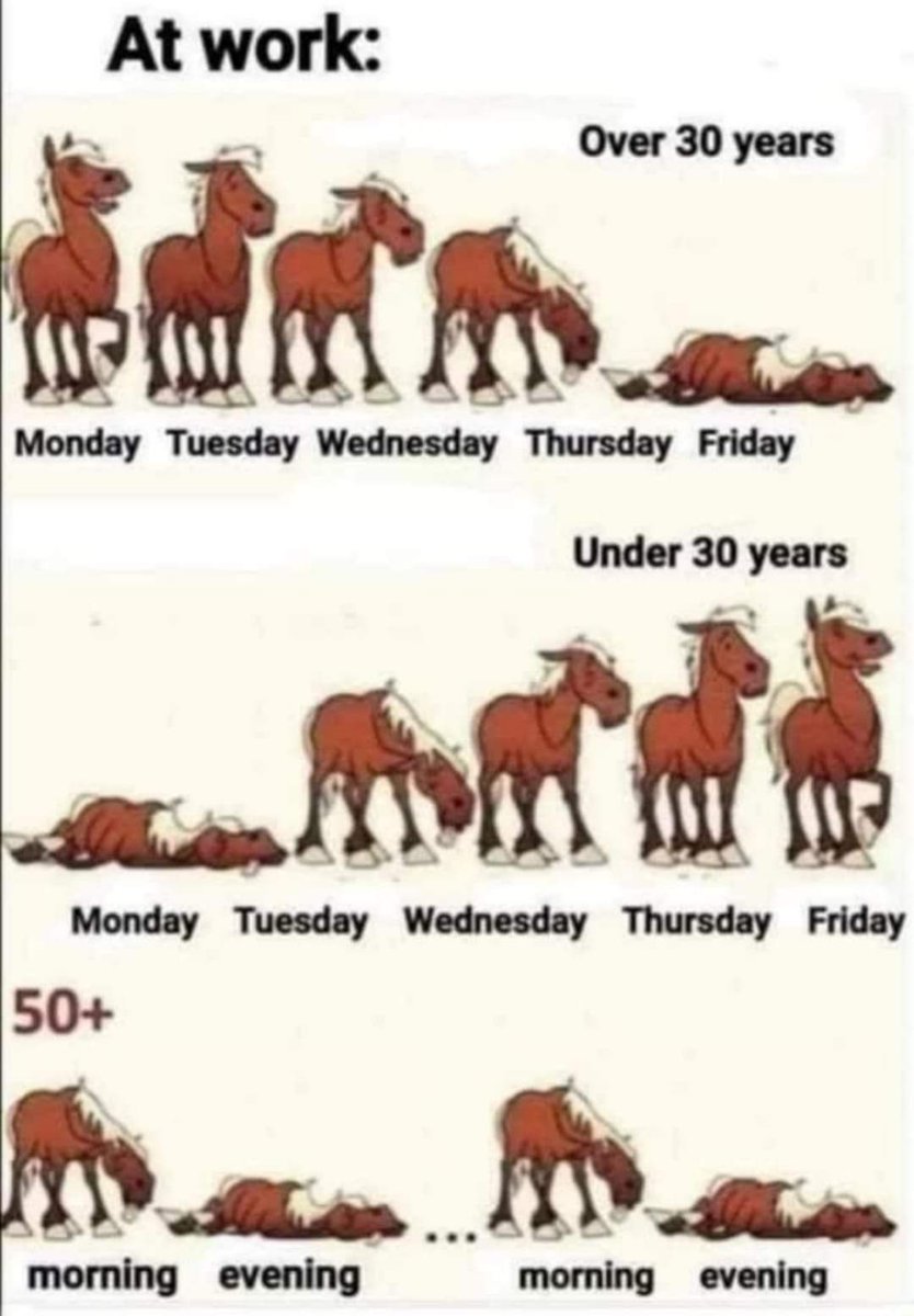 TracyLeeCook1's tweet image. How true is that. #doubleshift #Over50 🤣🤣🤣🤣