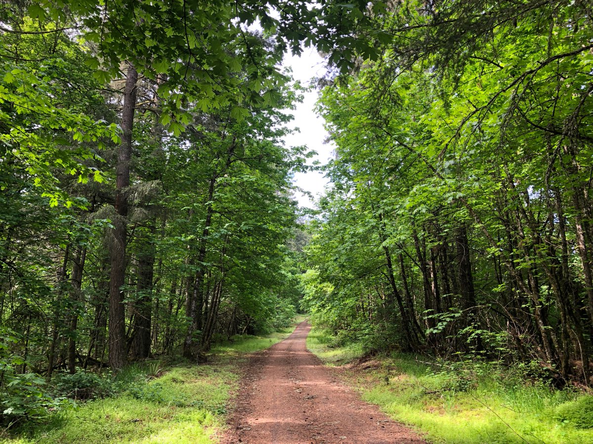 Brian Knaus tweet media