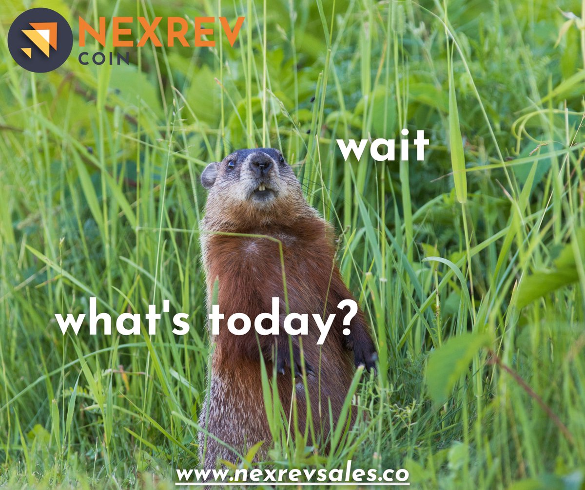 If you are an investor in search of a real and certified platform to invest your funds, I recommend this great platform for you, quickly visit nexrevsales.co

#webinar #cryptocurrency #cryptocurrencynews #newcryptocurrency #bitcoin #trading #nexrevcoin #coin #jungkook