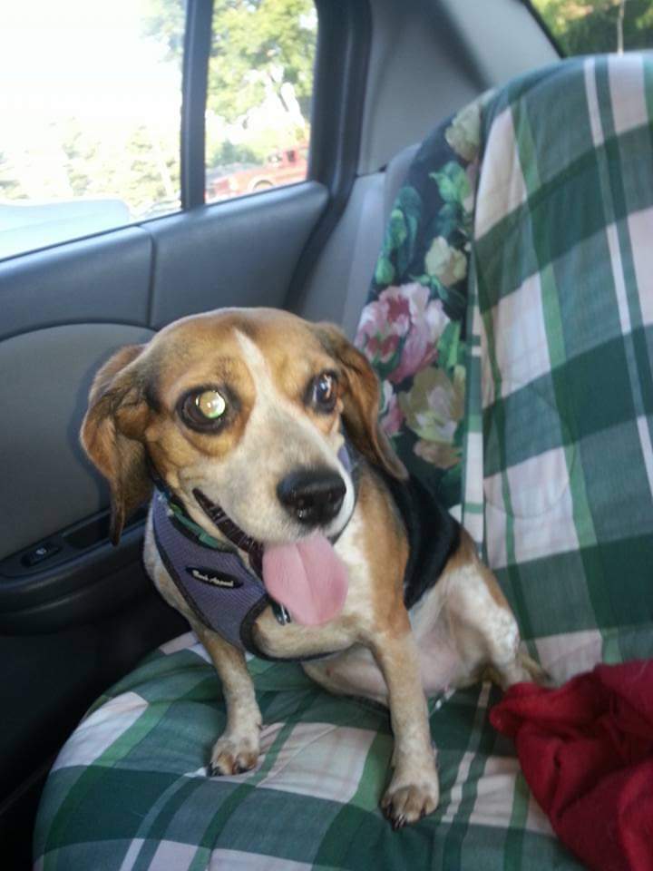 Grace & Lucy, Hope🌈 Sweetie 🌈 llsmill091485 tweet media
