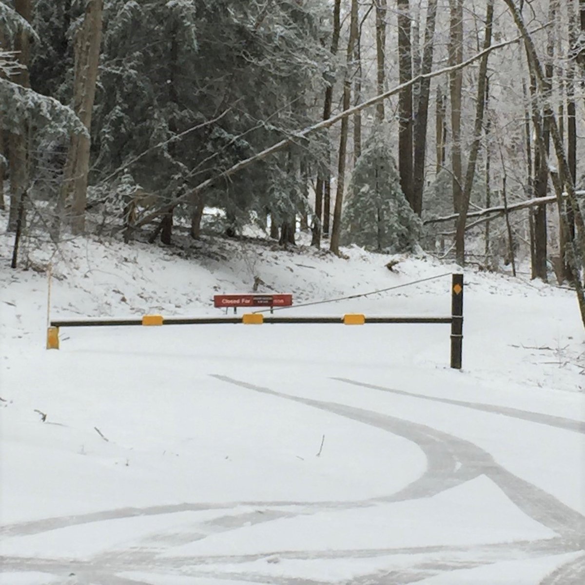 ROAD CLOSURE UPDATE! The weather has improved over the last few days and we have been able to open Cunard Road River Access and Glade Creek Road for visitors to use. Turkey Spur Road at Grandview is still closed. #FindYourPark #NewRiverGorge #Safety #RoadClosures