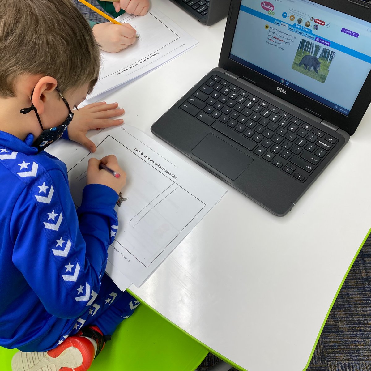 R.C. Buckley Elementary Library tweet media