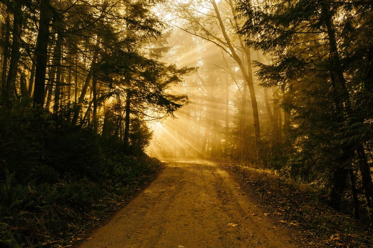 ConsciConsumers's tweet photo. We believe small actions create big change. We are The Conscientious Consumers. We are you. #intentionalliving #regenterativeagriculture #beyondorganic #healthyhomes #stewardship #healthyfamilies #humanrights #Sustainability #socialresponsibility #policy #change #community #local https://t.co/0BYISSjgFj