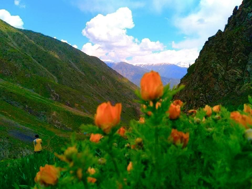 MukhtarRajabzad's tweet photo. در انتظار بهار فرخار-تخار
#Farkhar https://t.co/2KFt8cHwIp