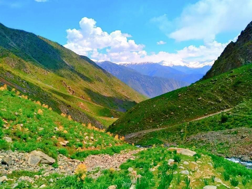 MukhtarRajabzad's tweet photo. در انتظار بهار فرخار-تخار
#Farkhar https://t.co/2KFt8cHwIp
