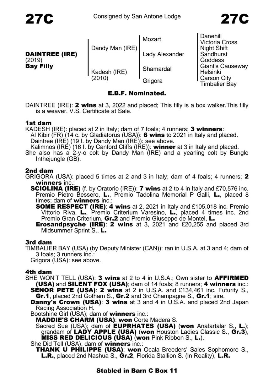 leonah1993's tweet photo. 🔥Lot 27C🔥
Daintree heads through the ring tomorrow @Goffs1866 #FebSale🏇
👉2 Wins @DundalkStadium this year so far
👉Progressive 76 rated Filly by @BallyhaneStud Dandy Man
👉Related to recent blacktype performers
🔥Sale starts at 11am - don't miss out! #TeamSanAntone https://t.co/VIxhhGFrhm
