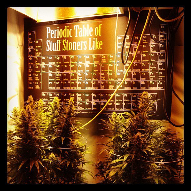Weed_Genics's tweet photo. For a twist on #NationalPeriodicTableDay, here's one for  #cannabis fans!🤣 
🧬🔬🌱
#PeriodicTableDay #mmemberville #420life #IAmCannabis #stonerstuff #cannabisculture #weedlovers #cannabisindustry #PeriodicTable 
(Available via @stoner_stuff) https://t.co/j2DgTwddQY