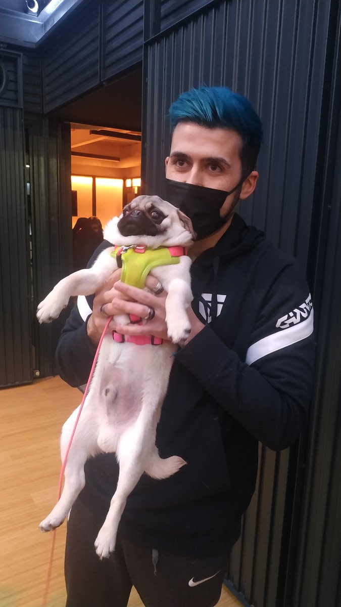 Fit1nho's tweet photo. Cuando Yoru carrilea a Jett en la ranked https://t.co/Bmg8wwKjd5
