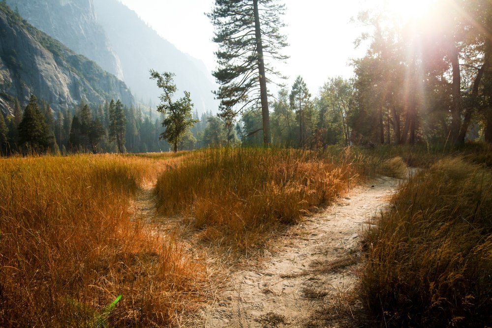 realNDWalsch's tweet photo. At every moment of difficulty and challenge in your life you have a choice: opposition or composition. You can either oppose that which you are experiencing, or compose that which you choose. https://t.co/R1xgtkDg7P