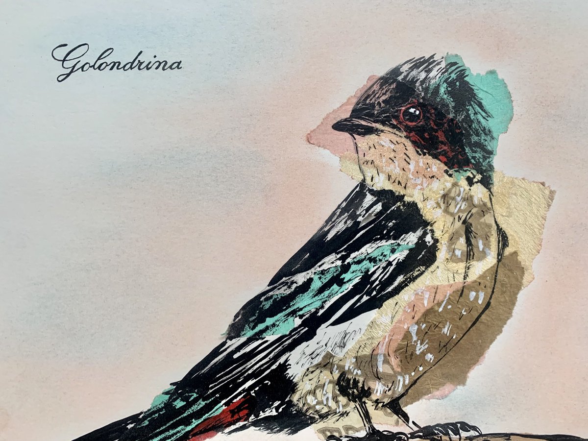 fernandacohen's tweet photo. #birdwatching #birding #calandria https://t.co/IezD0Locn8