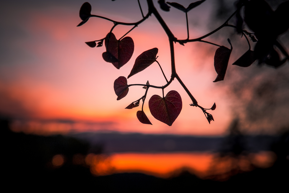 realNDWalsch's tweet photo. Nothing about love is meaningless. Love is the meaning of life itself. Life is love, expressed. https://t.co/NWW2l4yS5N