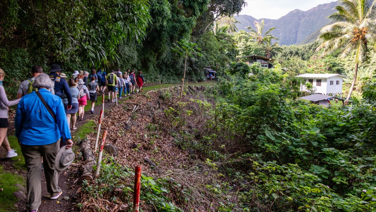 UnCruise's tweet photo. Aloha! Here’s a behind the scenes look at what you can expect during your 7 nights in Hawaii with UnCruise: kayaking, hikes, incredible local guides, and so much more!

Thanks to John Wright for capturing these stunning images.

#UnCruise #BreakUpWithBoring #TravelHawaii https://t.co/DQUWgE0sAK