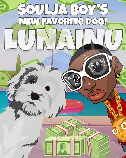 <a href="/LunaInuCoin/">Luna On Solana</a> The new battle between Jeff Besoz MOONSHOT Dog and Elon Musks Floki, Ive never seen a more bullish chart than Luna INU the thing is going crazy
