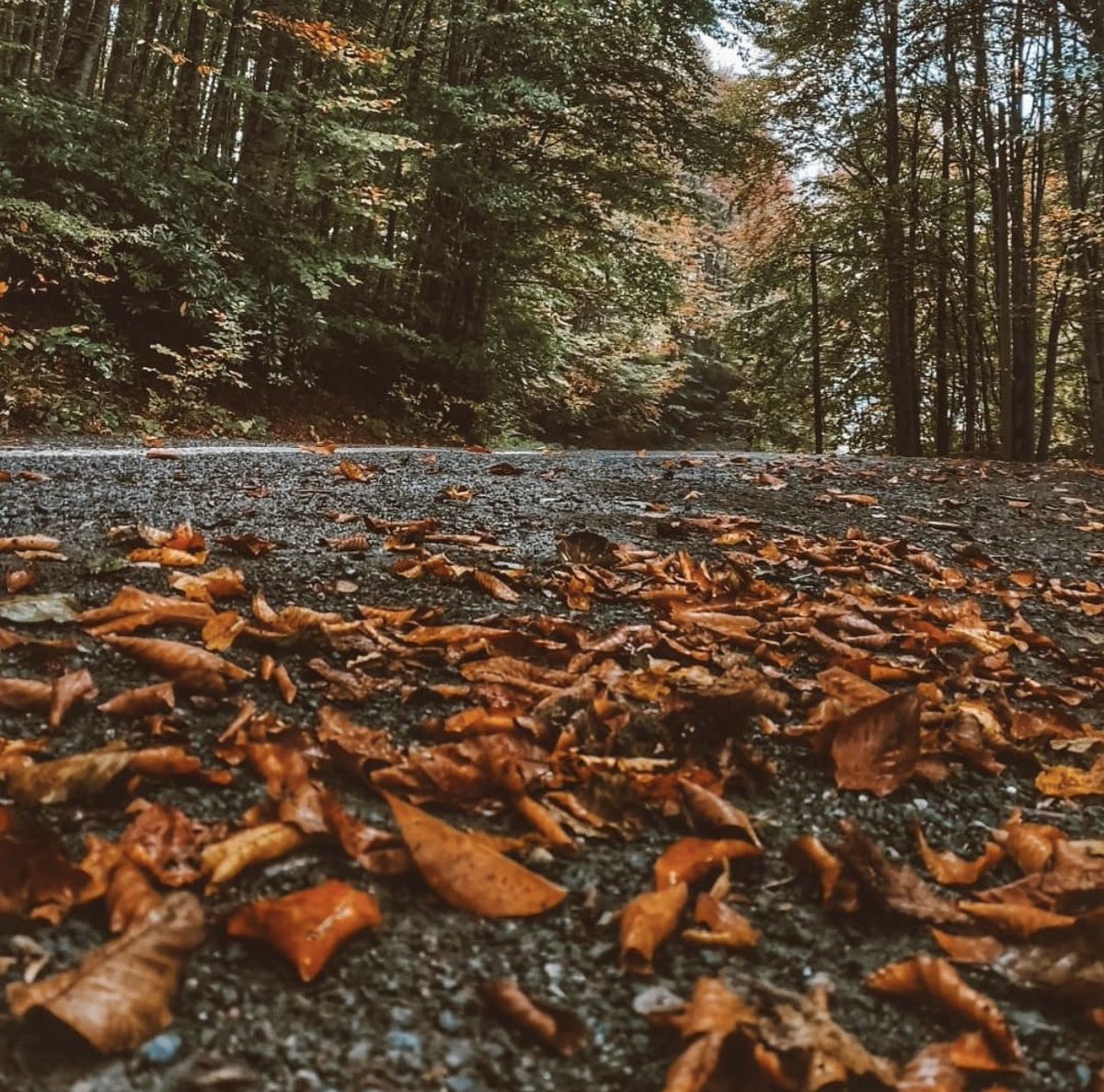 “Galiba hepimizi yitirdiğimiz insanın yasını tutuyoruz.”