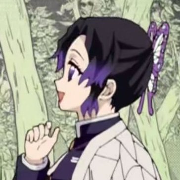 daily butterfly sisters 🦋 (@kochoarchive) on Twitter photo 