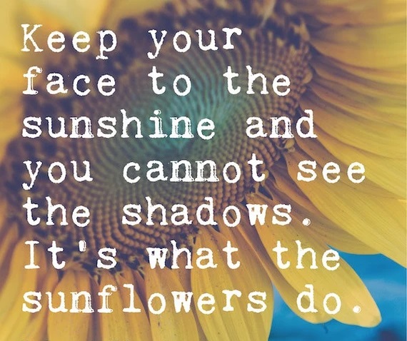 A_MasterMassage's tweet photo. #quote #quoteoftheday #Face #Sunshine #CannotSee #Shadows #Sunflowers #KeepYourHeadUp #HeadUp #LookUp #Positive #ThinkPositive #BePositive #365Days #NeverGiveUp
๐Quote of the Day๐
"Keep your face to the sunshine and you cannot see the shadows. It's what the sunflowers do." ๐ป https://t.co/hdGnVpt8dj