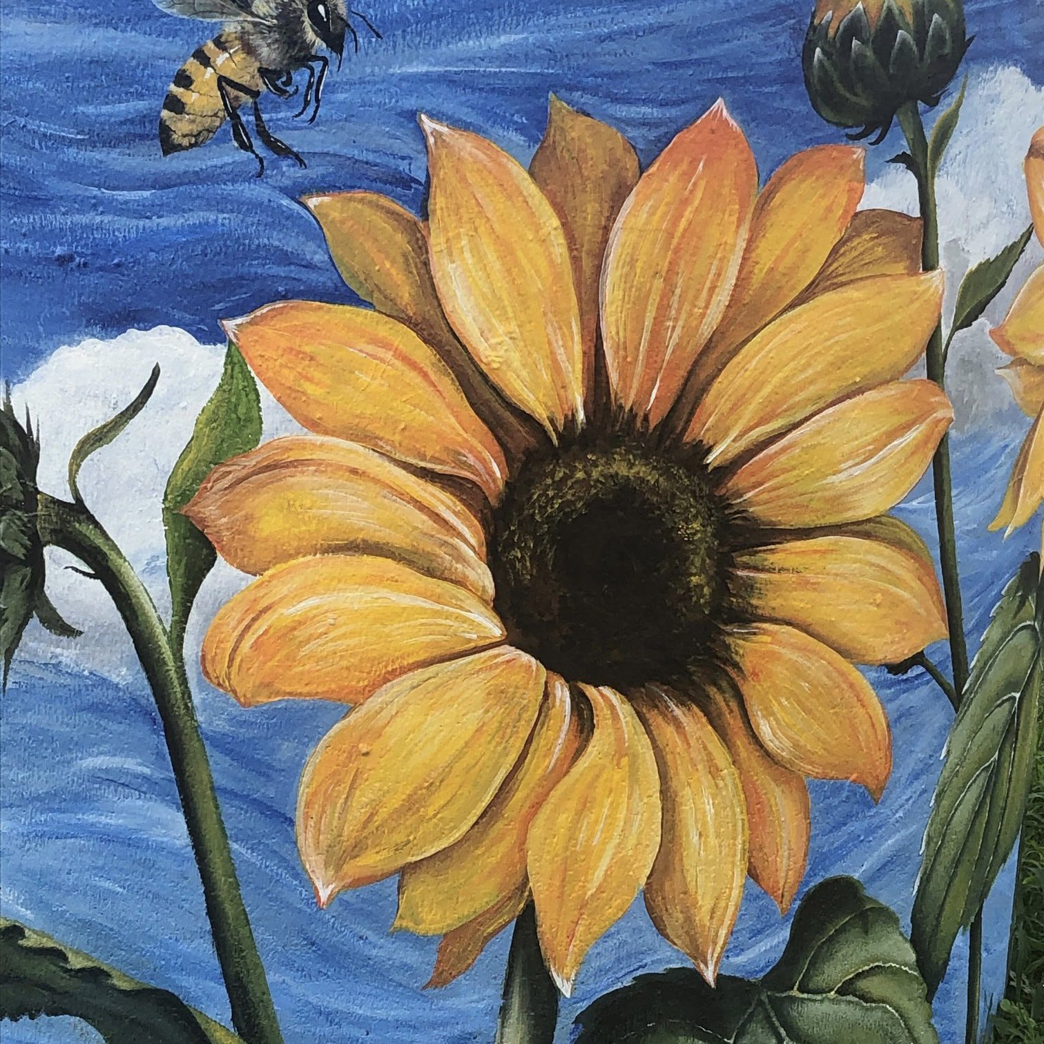 City of McAllen, TX on Twitter: "Help beautify McAllen! @KMBMcAllen is