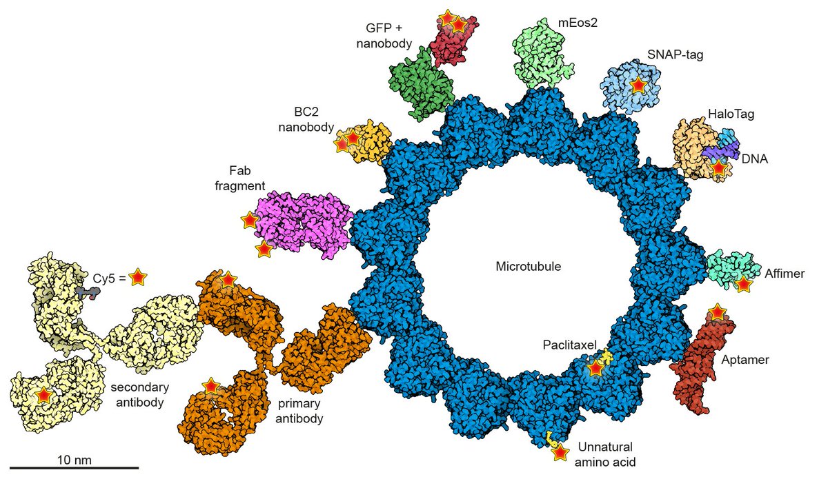 Philipp Hoess tweet media