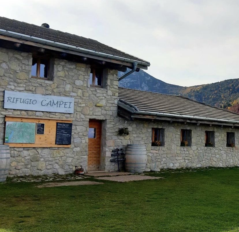 nemoingiro's tweet photo. Un bella passeggiata ai piedi dell'Altissimo monte #Baldo? 
Rifugio #MalgaCampei!
Da rifugio Graziani sono circa 3h di cammino a/r.
Magnifico panorama sulla catena dei Monti Lessini. Aperto da primavera a fine ottobre!
#nemoingiro #mountain #hike

https://t.co/NqkbhAK5VB https://t.co/FoF8ptuuat