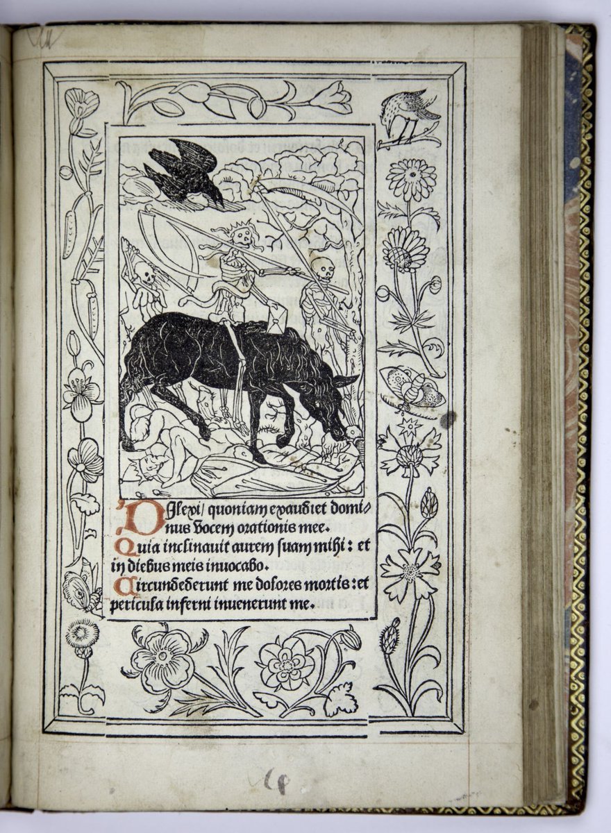 Crows in medieval manuscripts I should re-draw. 