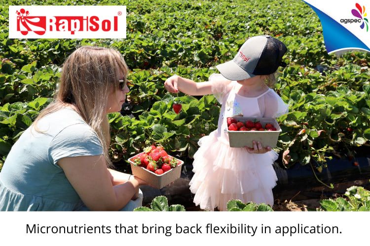 Confused about whether your #micronutrient #fertilisers are compatible? 🤔🌱

#RapiSol by #Agspec is designed for flexible #fertiliser application. With 15 compatible micronutrient formulations, Rapisol is built for #AgChem.

Learn more 👉 agspec.org/RapiSol_Range