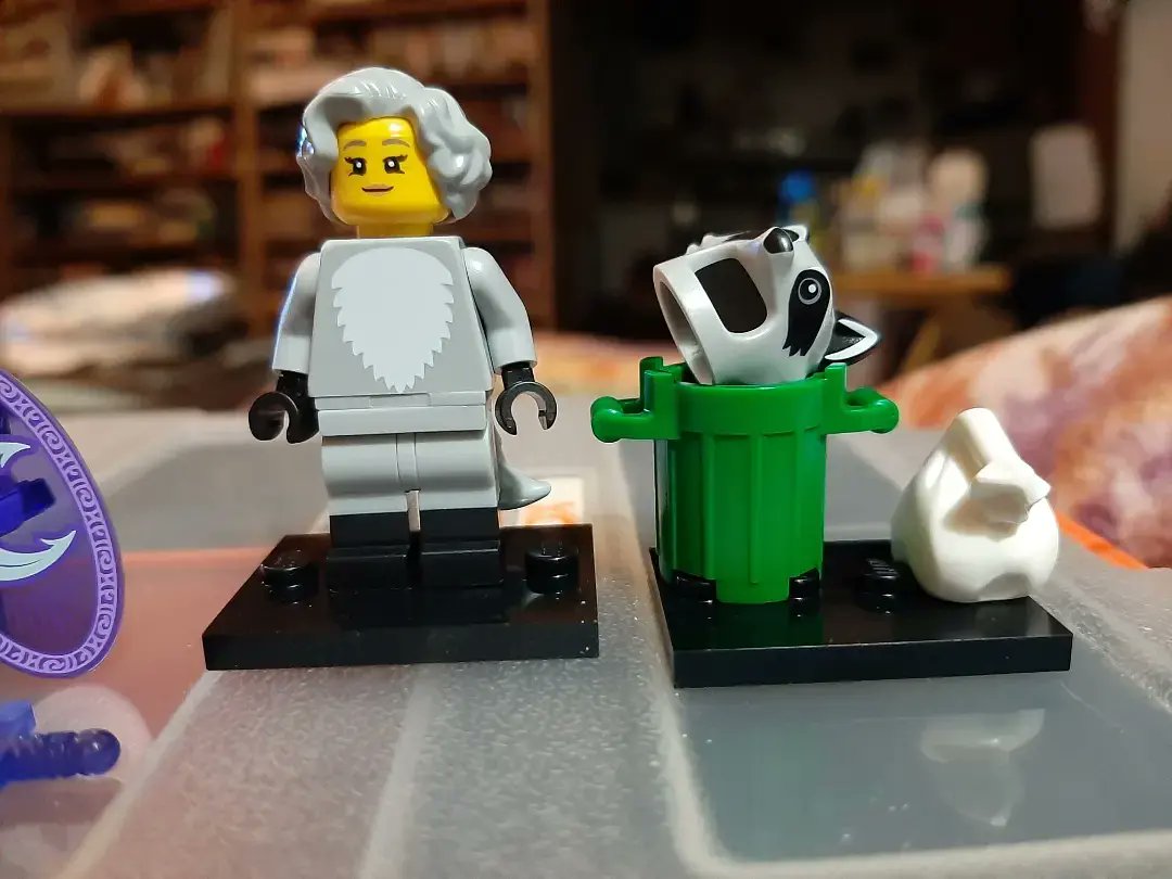 BrickBastardsMN's tweet photo. Random grabs Lego #CMF22 https://t.co/sVSrKi7yic