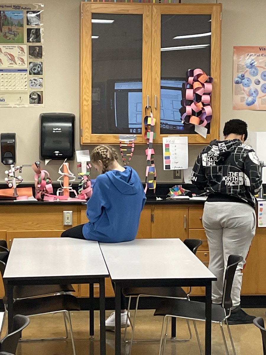 StormMrC's tweet photo. Structure of DNA gallery walk assessment https://t.co/VzNMLeAJxj