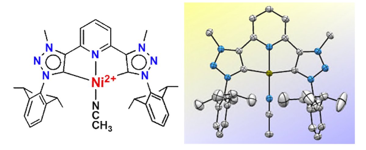 Szostak_Group's tweet photo. #NHCs #NHeterocyclicCarbenes Matsubara group et al reported #CNC #pincer #mesoionic #carbene nickel(II) complexes. #triazolylidenes Good reactivity in #Suzuki cross-coupling #Bulky N-wingtip substituents are more effective. @SouravSekharBe2 @EurJIC

https://t.co/pvWtWikJKi https://t.co/8mkfq8yF8n
