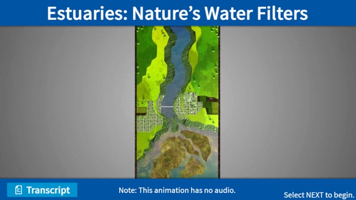 Estuaries are nature’s water filters. This animation is a great way to help your students understand their important role in filtering sediment and pollution go.usa.gov/xETHA #EstuaryLove #EstuaryEducation