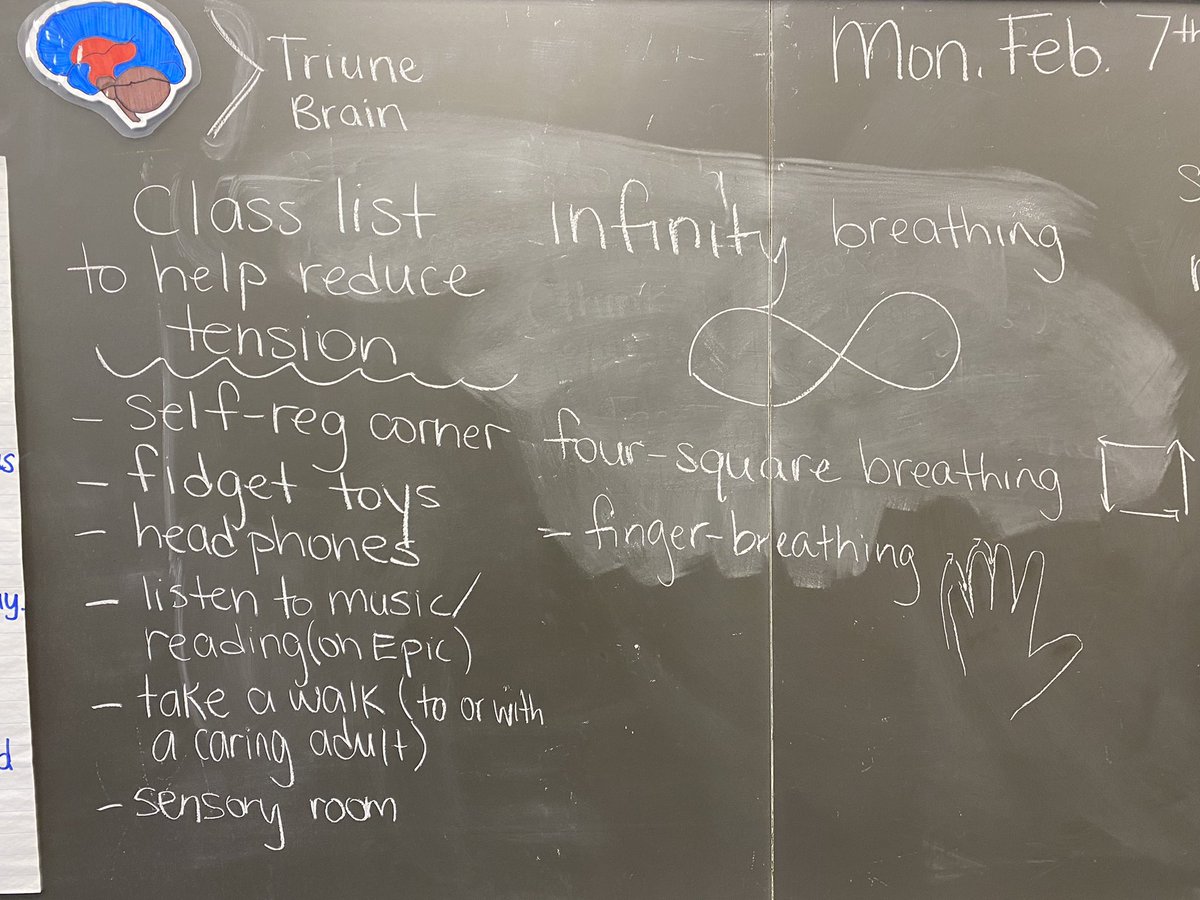 MsMcGillyALCDSB's tweet photo. So impressed with @PerreaultALCDSB class at @alcdsb_jjon ! They brainstormed a list to help reduce tension. Love the self advocacy and student voice from the s! #iSERT https://t.co/x3LQhq1JVn