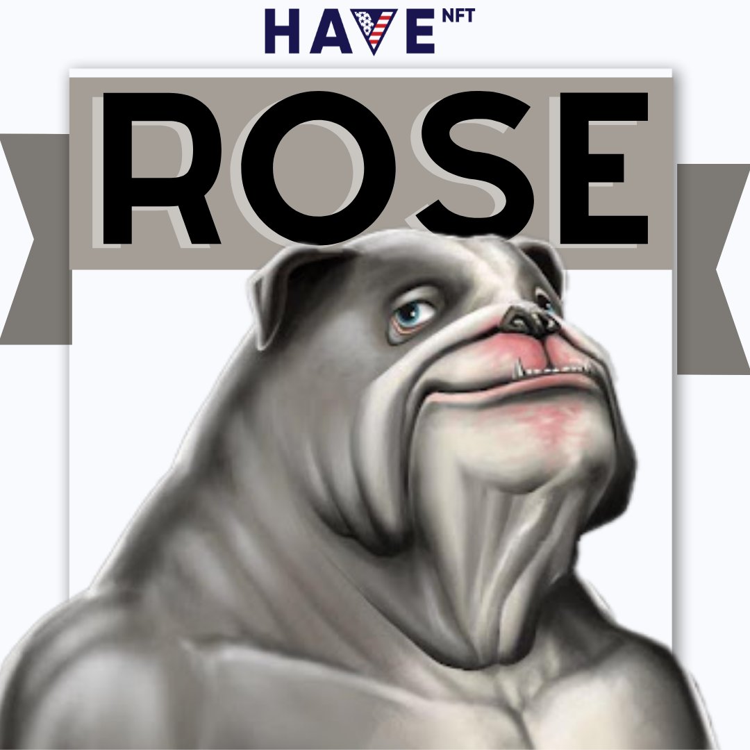 HAVE_NFT's tweet photo. Meet Rose! 🐾
👉 Righteous, structured and disciplined, she is solid and unbendable. 
👉 She respects true virtue and authority. 
👉 Smart and well-spoken, she listens before she speaks and stands up against injustice. https://t.co/vFcLq8VQL9