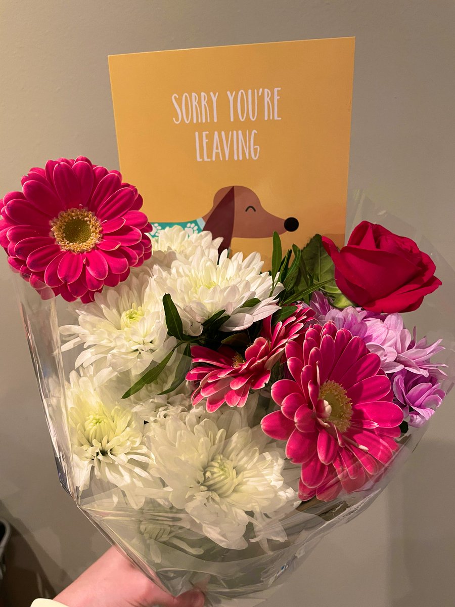 LF_physio's tweet photo. Last week I left behind some incredible colleagues as I said goodbye at @HHFTnhs, the place where I started my physiotherapy journey fresh out of Uni 🩺 I also received the most beautiful card from one of my patients… things like this make it all worth while 💕 https://t.co/Orqt3qe4wD