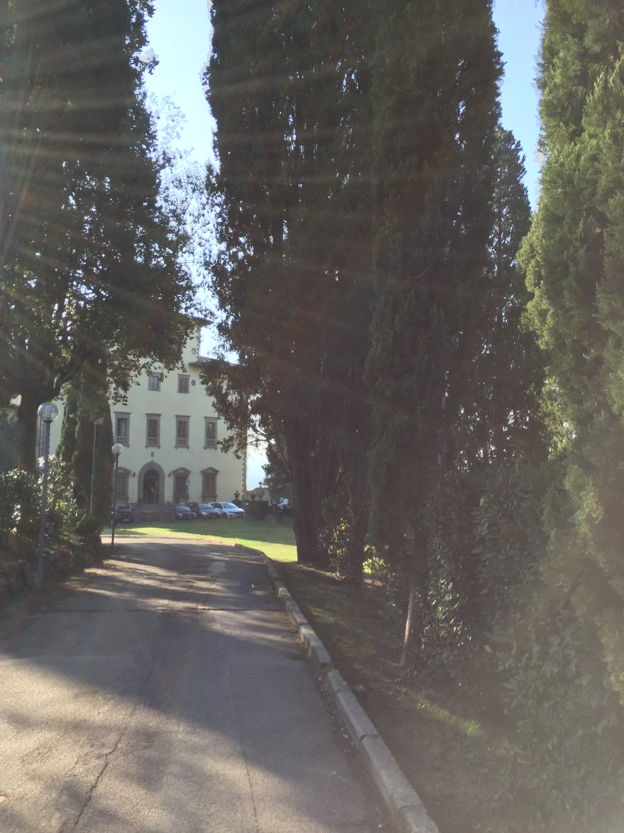 #SMF #music #study #Florence