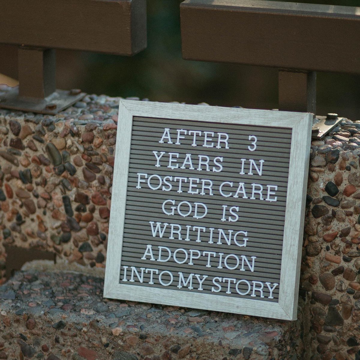 Riley Morgan tweet media