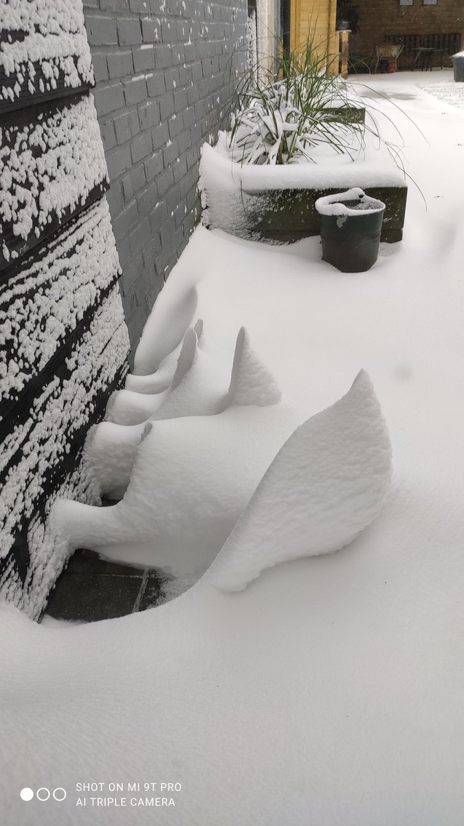 Vorig jaar lag er volop sneeuw. Morgen is het 10graden. Komt vast door de opwarming vd aarde...🤔