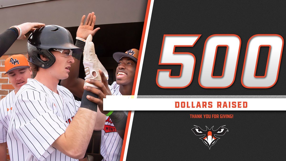 ⚾️AUM Baseball tweet media