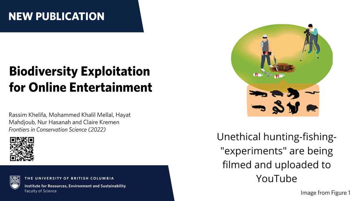 IRES/<a href="/ZoologyUBC/">UBC Zoology</a>'s <a href="/Rassim_Kh/">Rassim Khelifa</a> &amp; <a href="/clairekremen/">Claire Kremen</a> and colleagues document a new unethical trend that normalizes violence to animals on the Internet: hunting-and-fishing "experiments" for monetized online entertainment:
doi.org/10.3389/fcosc.….