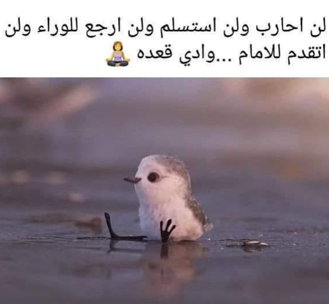SAMAH79954568's tweet photo. https://t.co/vAmZGfFhZD