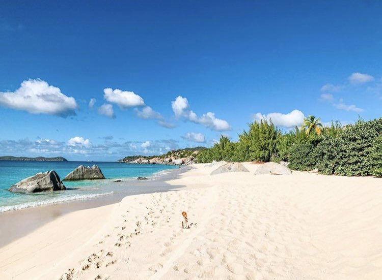 Happy Monday! Have a BVI beautiful week ✨❤️🇻🇬 #BVILove #BVI #BritishVirginIslands #Paradise 
IG 📷 IloveVirginGorda