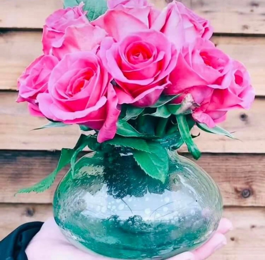 RevivalHomeFurn's tweet photo. ✨Flash Sale✨
Only 3 hours left to snap up our beautiful recycled glass vase. Now only £7.50 it’s the ideal vase for arranging a stunning bloom of roses 🌹 grab b4 too late.
#beautiful #vase #sale #Flowers #mother #gift #giftideas #uksmallbiz #flashsale 

https://t.co/vIY80Dxibt https://t.co/uVoRSLuySD