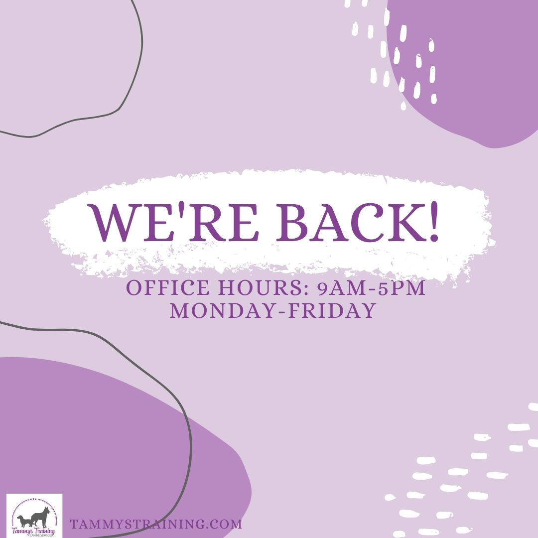 TammysTraining's tweet photo. We're back to being covid-free!! 

Covid hit my daughters class like wildfire and it took a couple of weeks to ensure it's completely gone from our home. We apologize again for any inconvenience this may have caused. 

Now we are back and ready to get out of the house! We walk do https://t.co/f9PUD9xfZz
